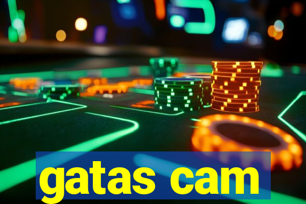gatas cam